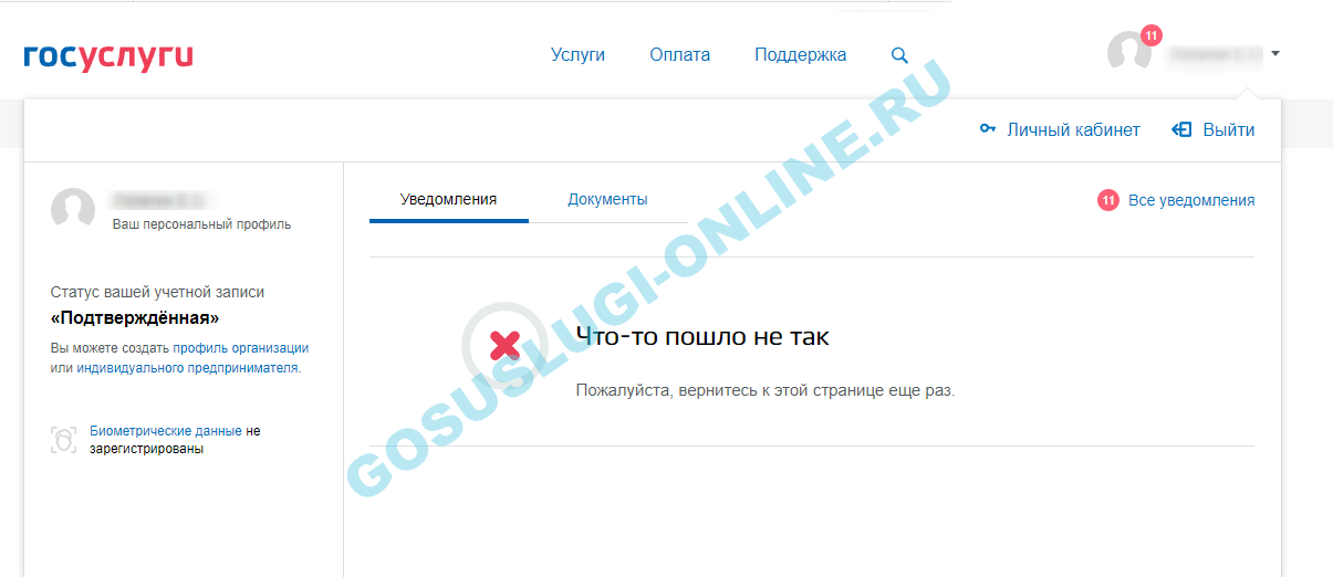Не работает сайт госуслуги: что делать, варианты ошибок