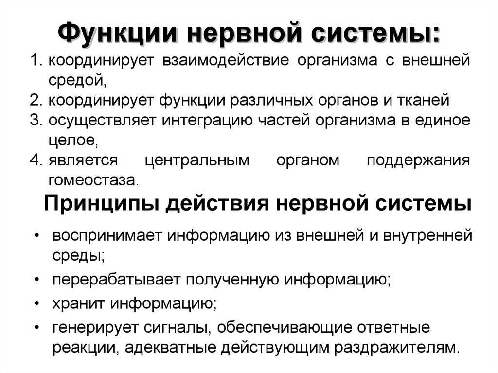 Какие системы органов составляют организм человека? список, иллюстрация и краткая характеристика