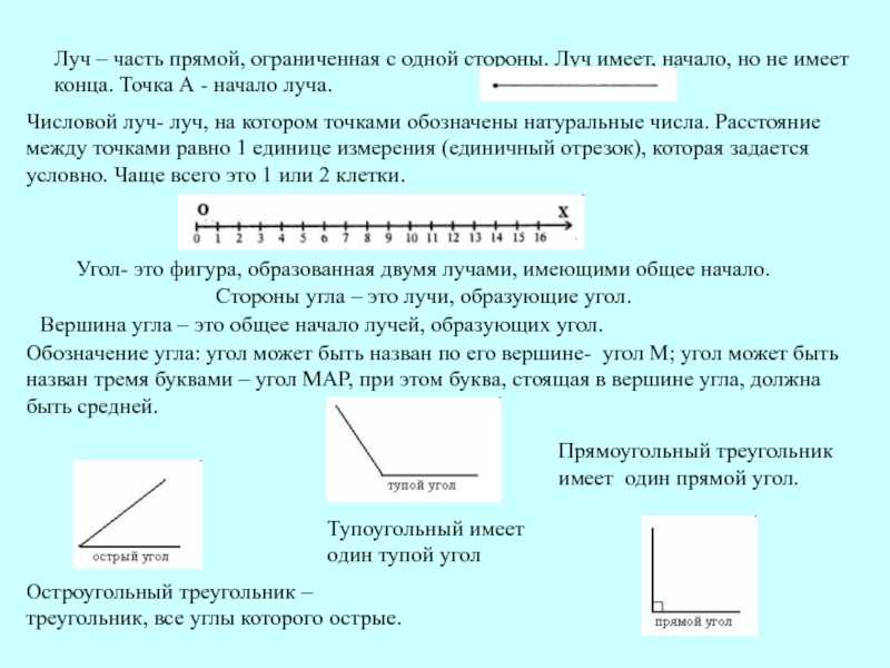 Отрезок, луч, прямая - в чем различия