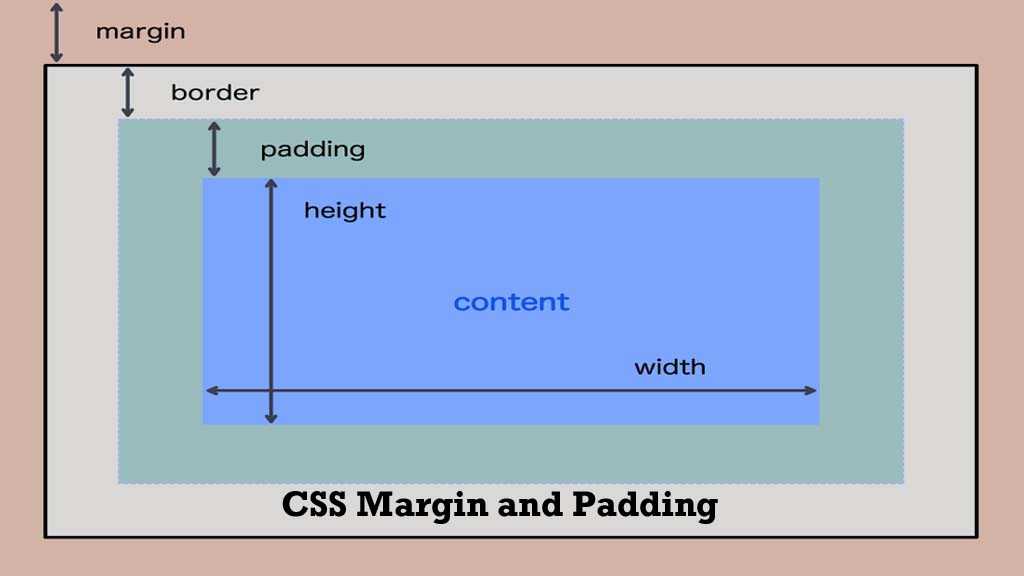 Div padding left. Margin padding. Margin padding CSS. Html margin и padding. Margin padding разница.