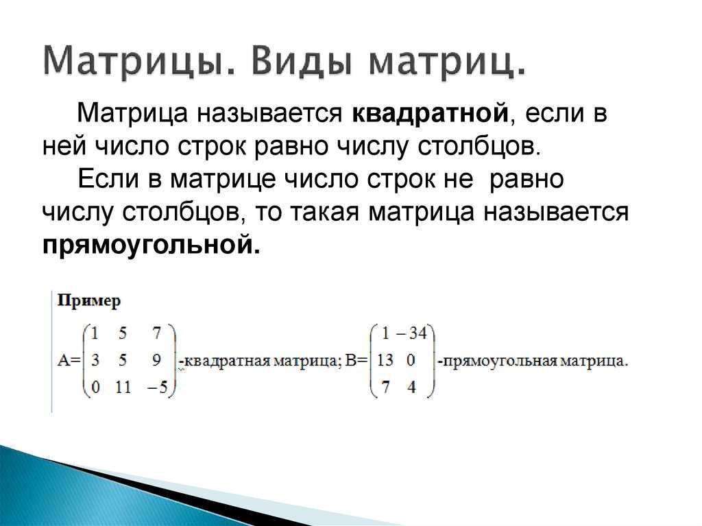 Матрицы. виды матриц