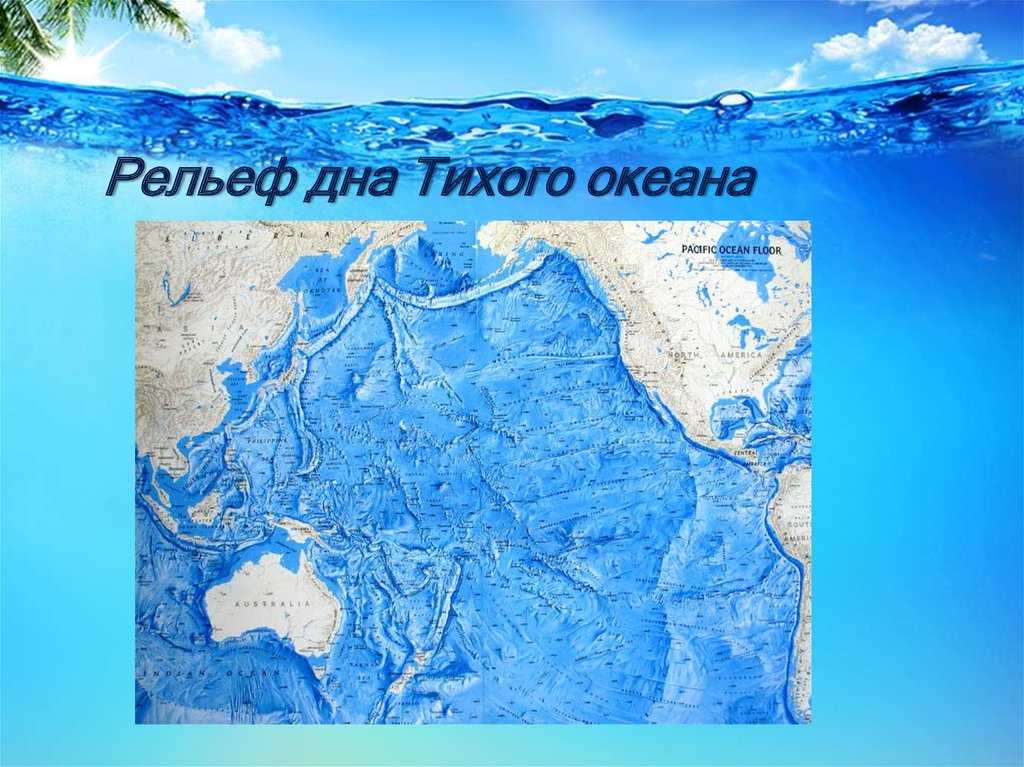 Океаны земли – сколько их 4 или 5 (карта, название)