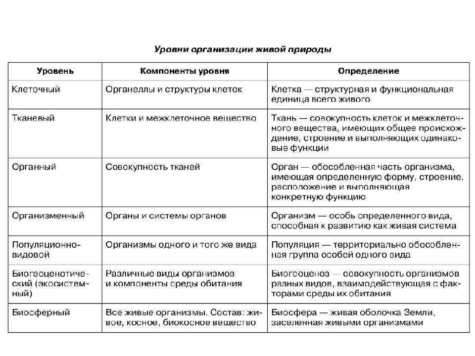 Система органов