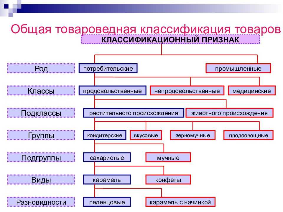 Урок 4. html фреймы и гиперссылки - web-верстка. учебные материалы