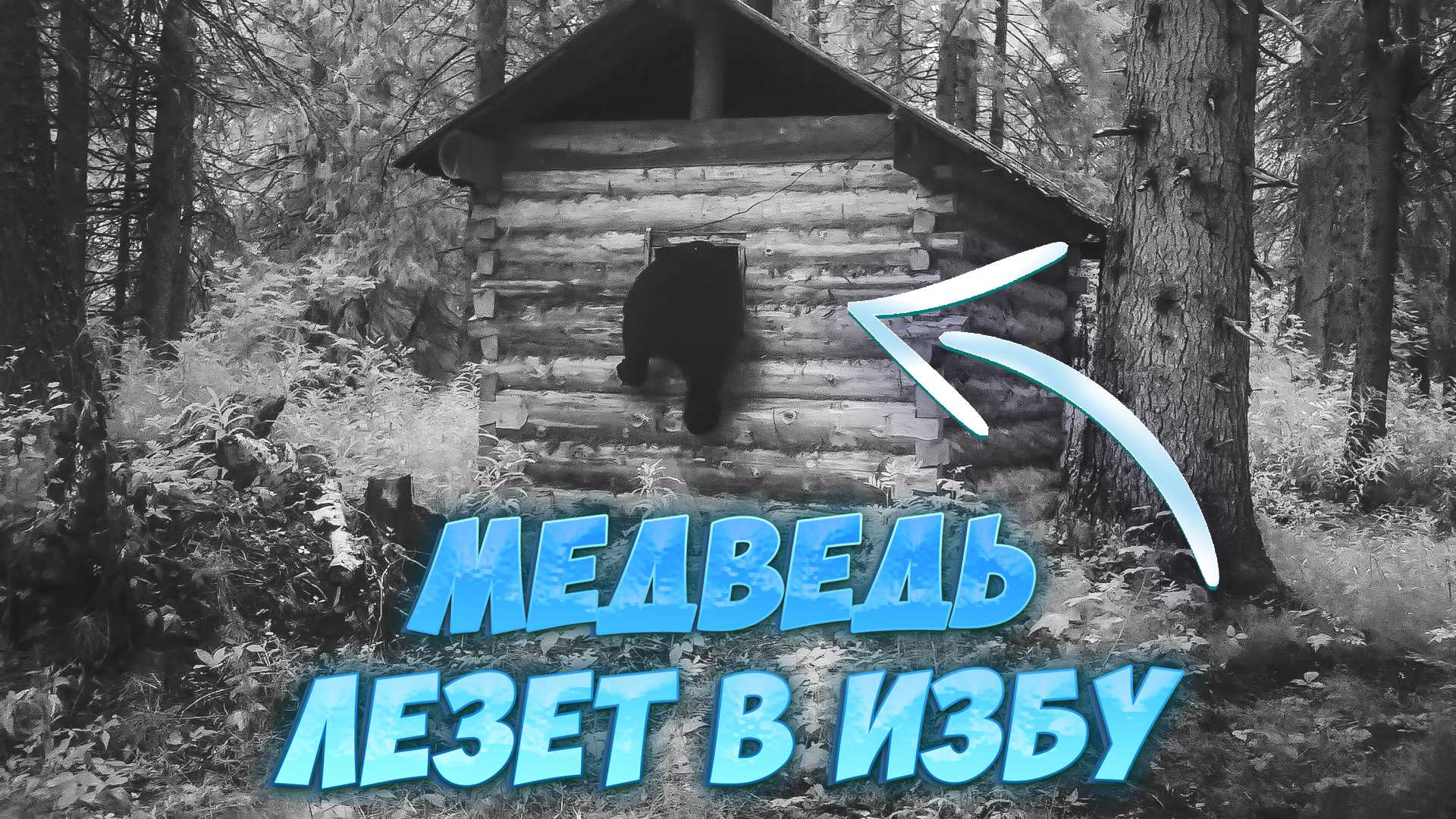 Как скачать видео с ютуба на телефон: (8) лучших приложений!