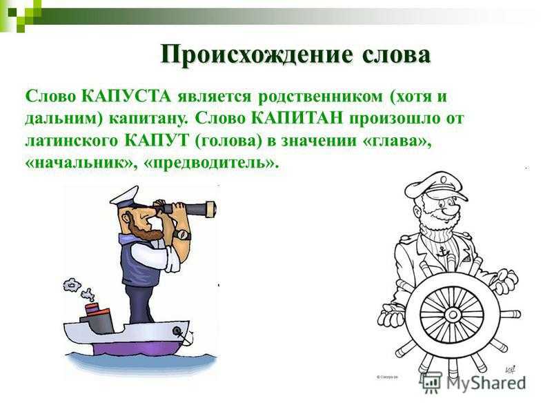 Что такое гаджет и виджет