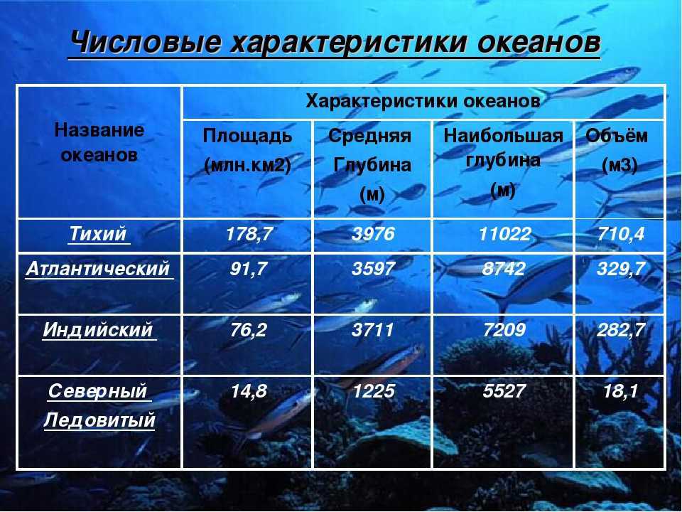 Карта мировых океанов: сколько морей на земле, их соленость, географическое положение и уровень глубин | tvercult.ru