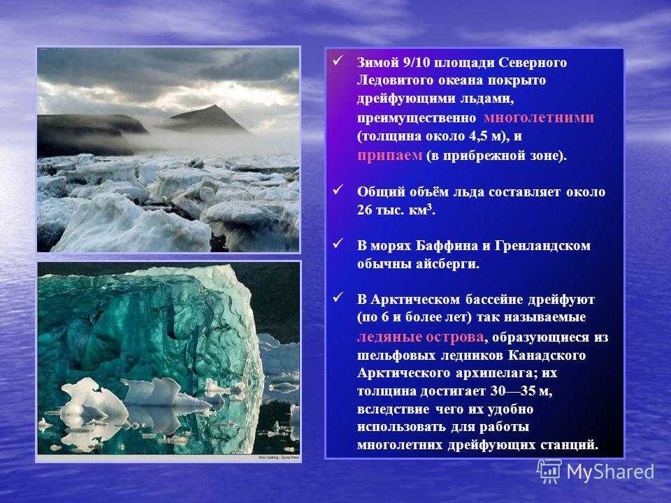 Северный ледовитый океан и антарктические воды