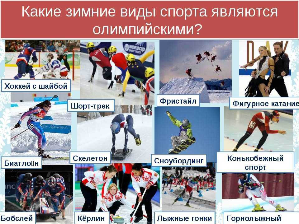 Виды спорта на зимних олимпийских играх 2022 ― новые дисциплины на олимпиаде в пекине