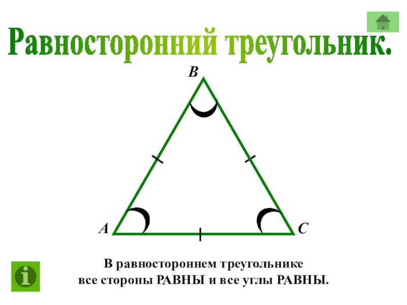 Описанная и вписанная окружность