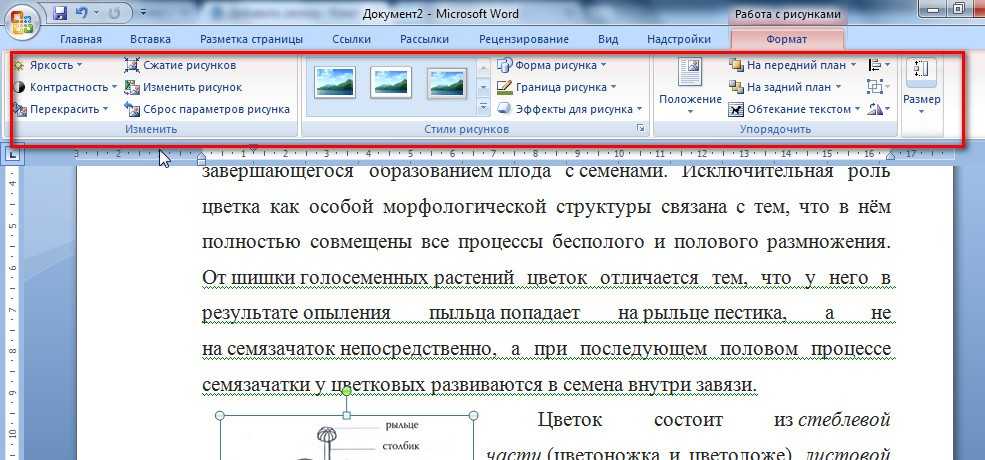 Как сделать рисунок ярче в word? - t-tservice.ru