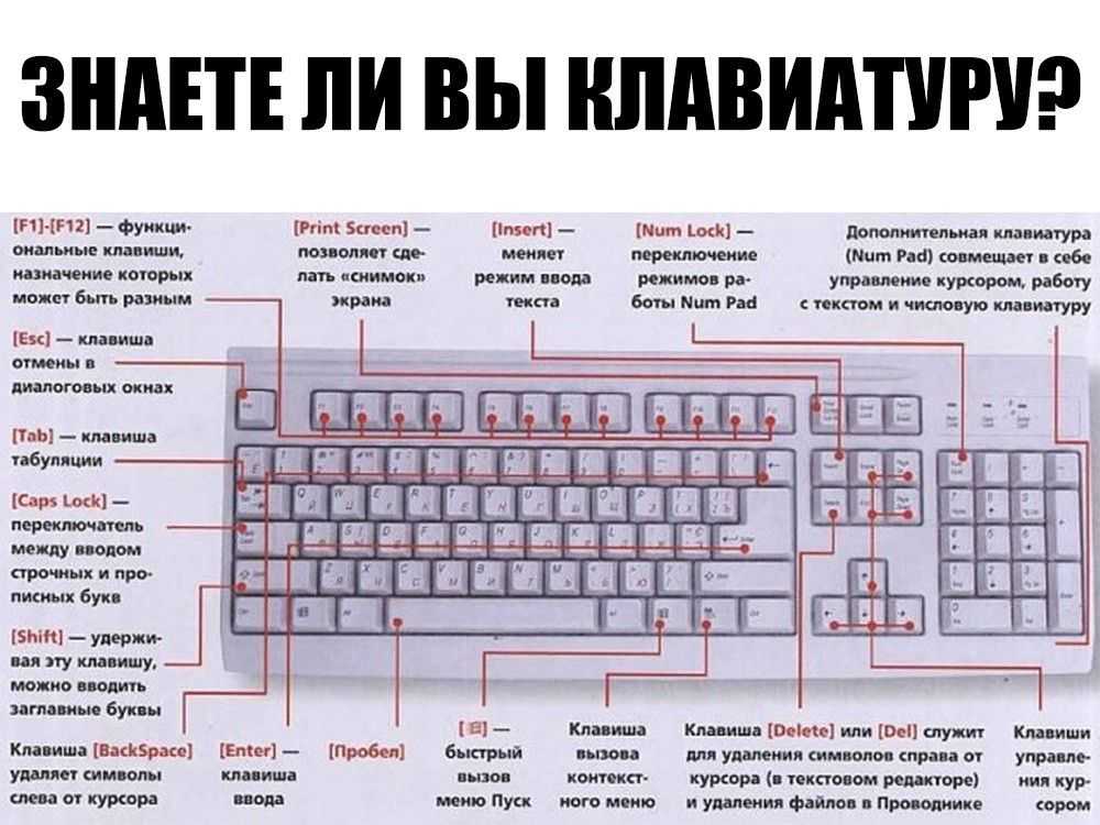 Проблема с калькулятором в windows 7.