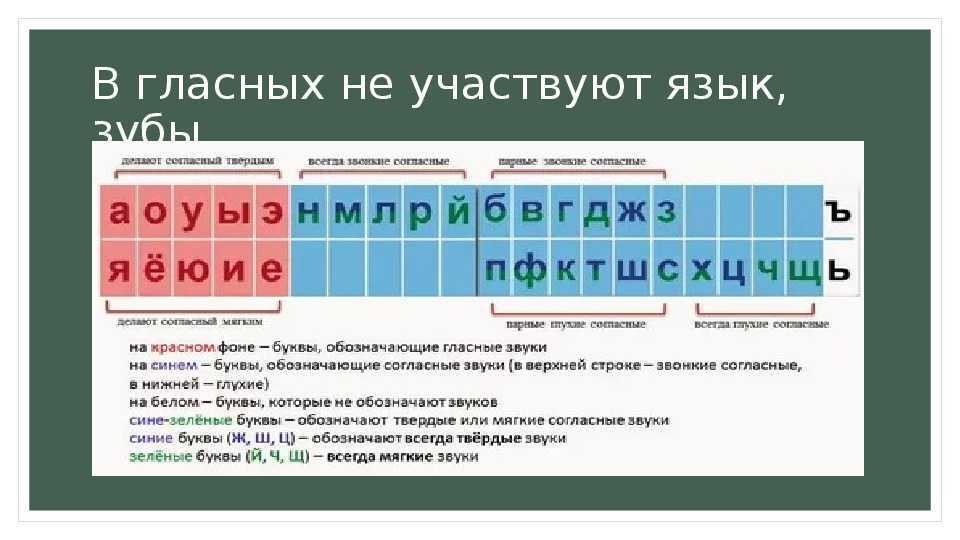 Сколько гласных и согласных букв в русском алфавите?