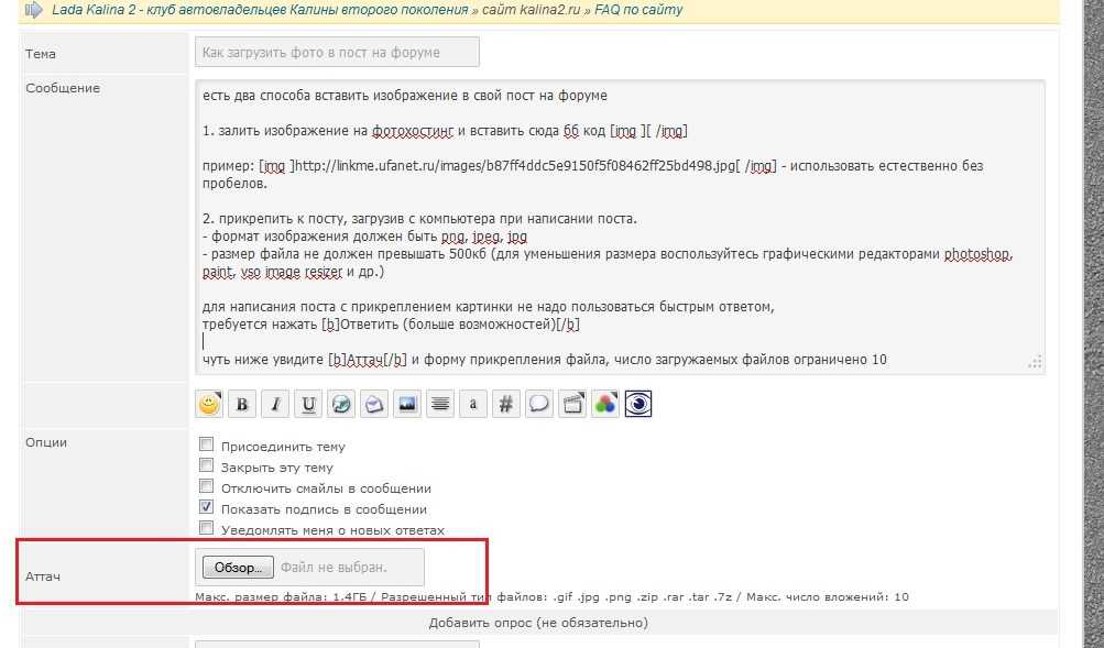 Топ-7 лучших хостингов картинок