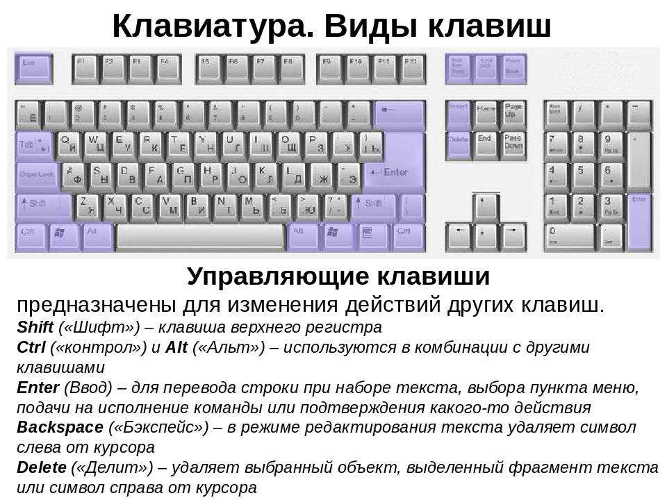 Как сделать линию в ворде
