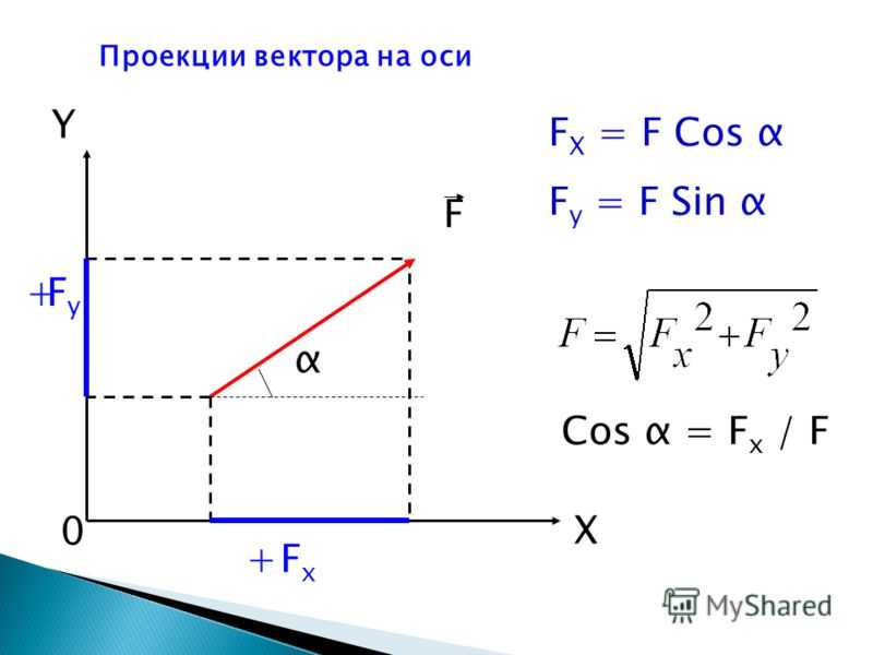 Что такое проекция вектора и как ее найти?