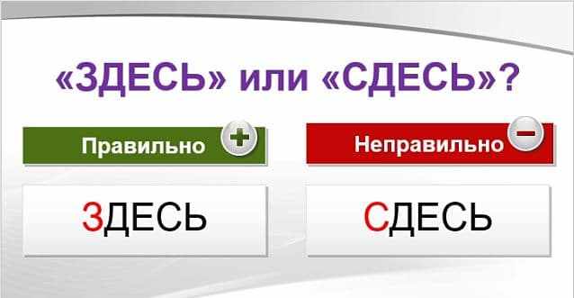 Вы здесь
