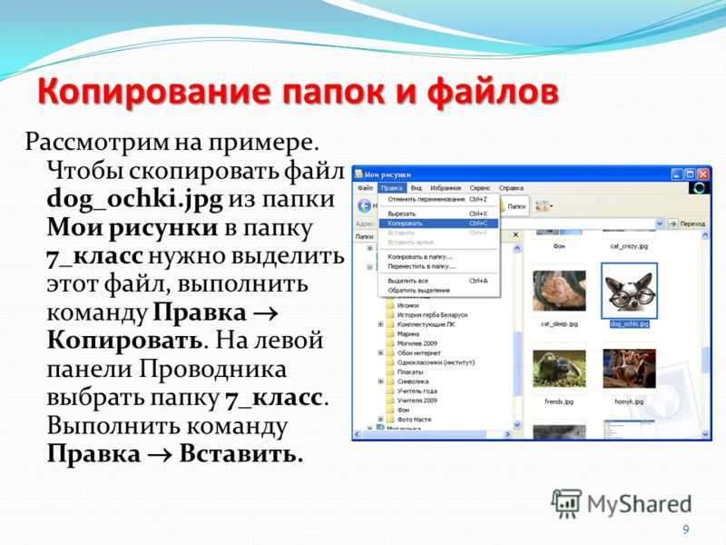 Как вставить скопированные данные. Папка с файлами. Копирование папок. Скопируйте в папку архивы. Скопированные файлы.