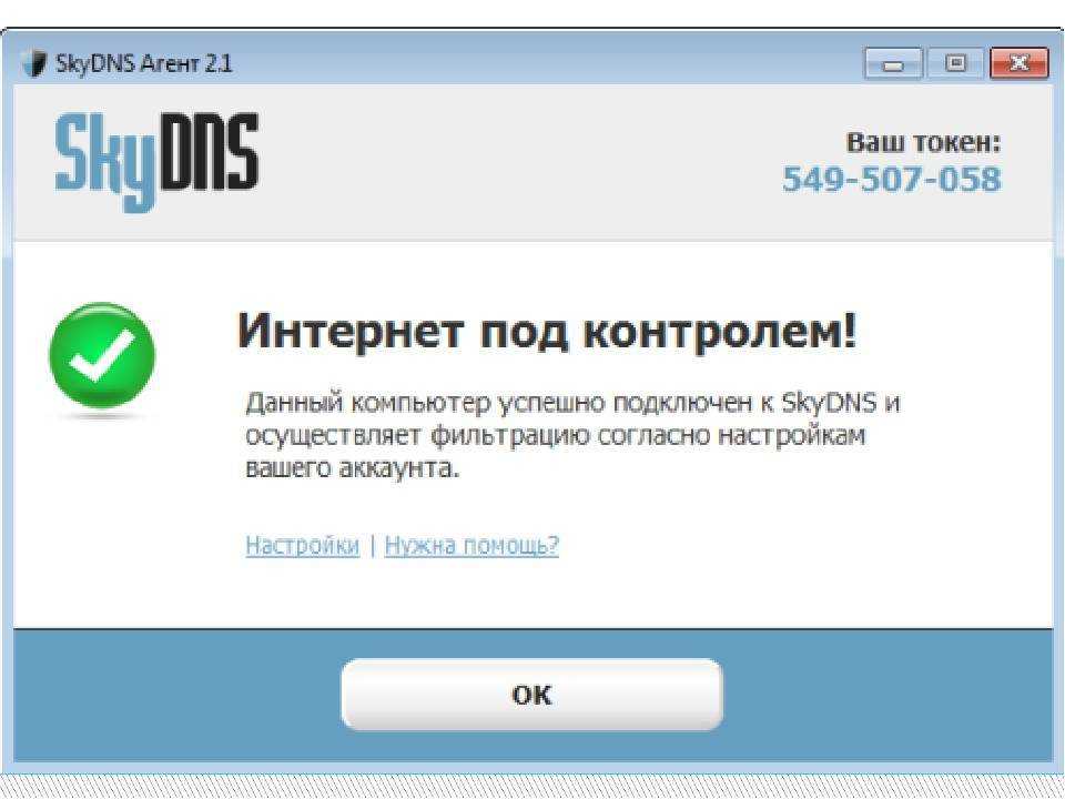 Интернет фильтр. Интернет-фильтр SKYDNS. SKYDNS программа. Контентный фильтр SKYDNS. SKYDNS.школа.