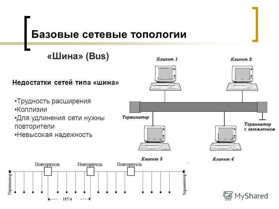 Шина (топология компьютерной сети)