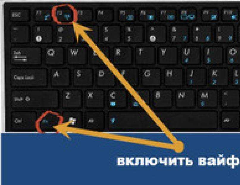 Как включить вай фай на ноутбуке: кнопкой на клавиатуре, windows, packard bell