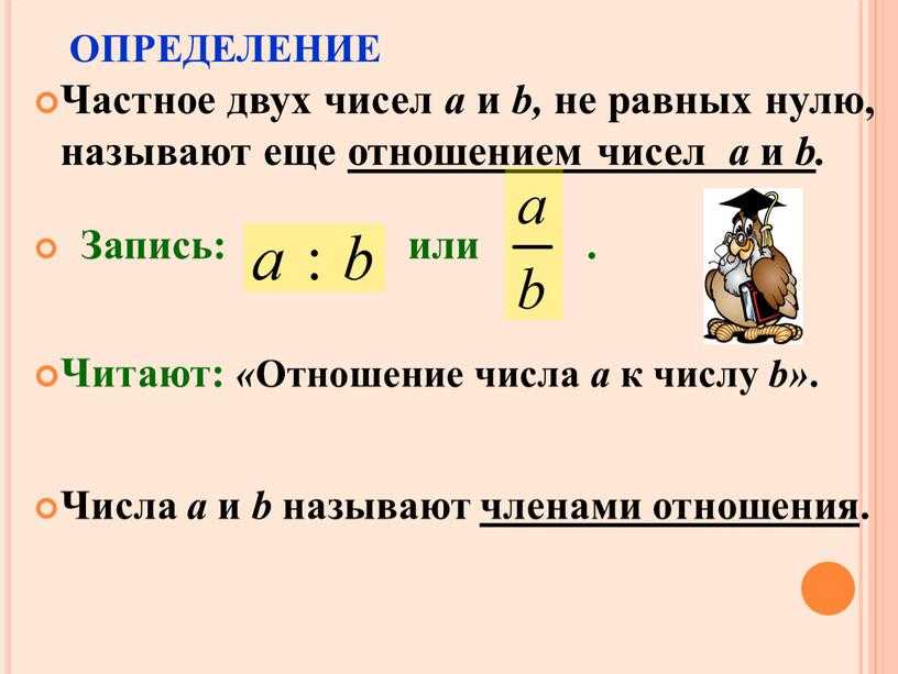 Виды чисел в математике: какие бывают