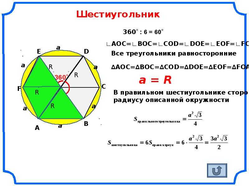 Математичка. правильные многоугольники. regular polygons.