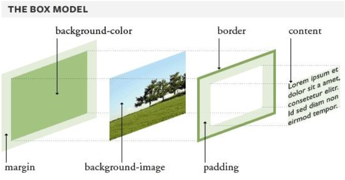 Как сделать фон? css-свойство background