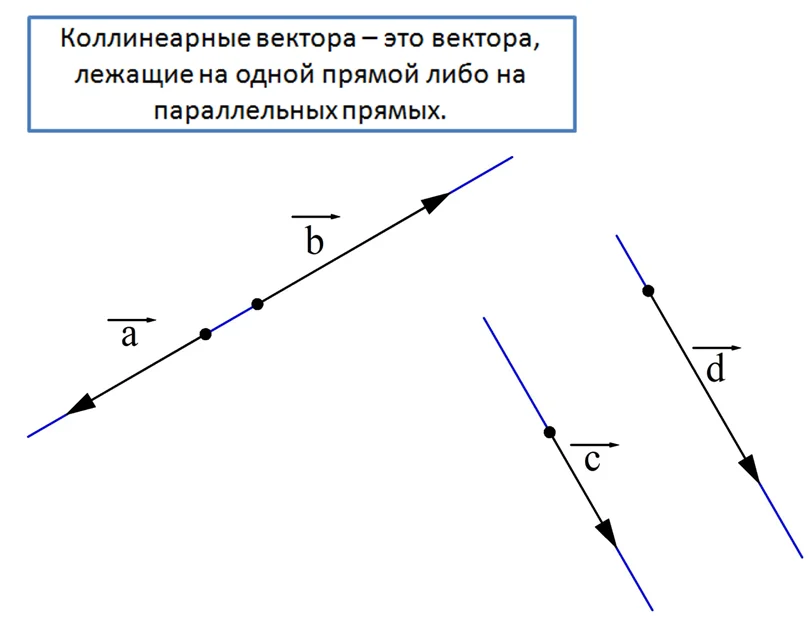 Построить два коллинеарных вектора