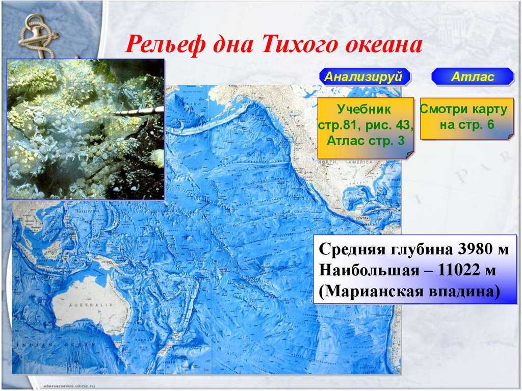 Климат и рельеф тихого океана. Рельеф Тихого океана. Тихий океан рельеф дна океана. Рельеф дна.