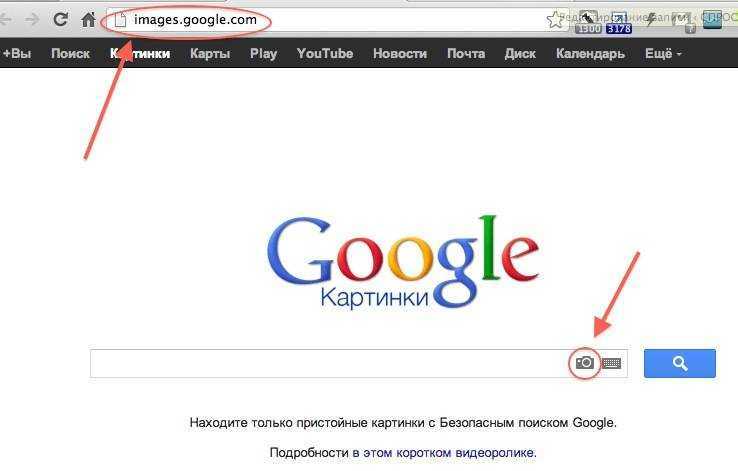 Поиск по изображению с телефона: как найти похожее изображение