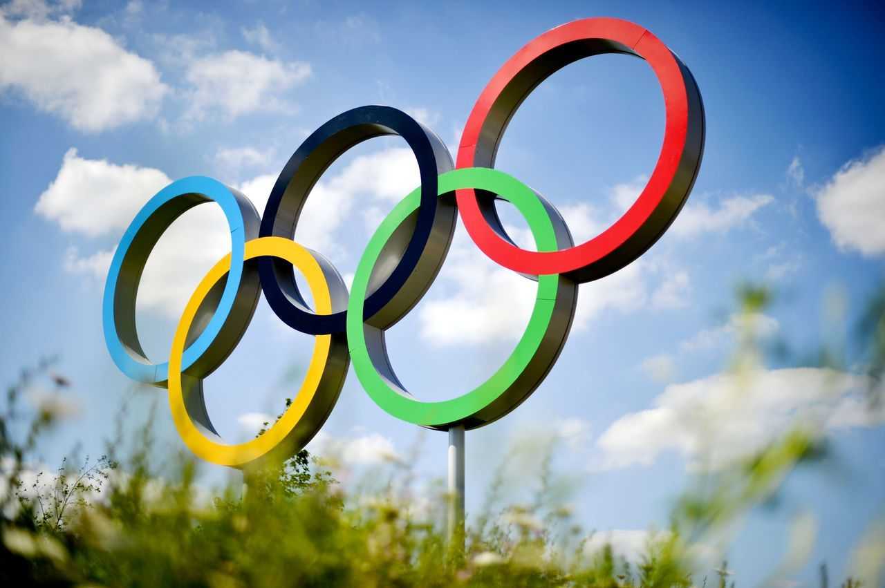 Какие виды спорта входят в программу олимпийских игр