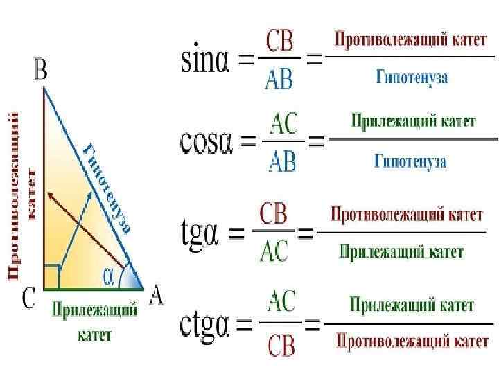 Урок 2: функции тригонометрические - 100urokov.ru