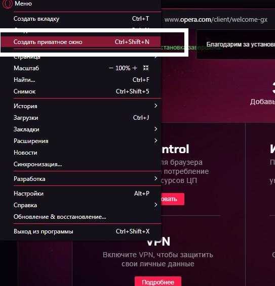 Как посмотреть историю в опере: 3 проверенных способа