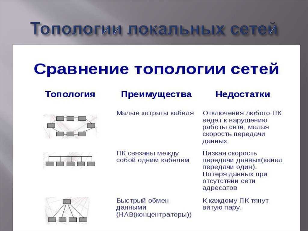 Устройство и основные понятия локальной сети