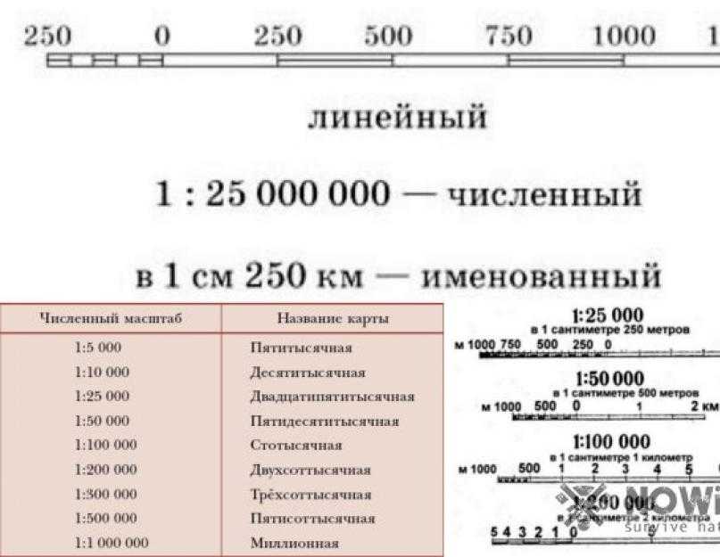 На одном и тоже плане местности численный именованный и линейный масштабы показывают уменьшение