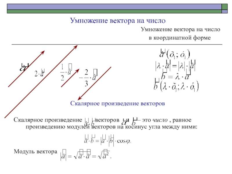 Умножение координат векторов: умножение вектора на число — урок. геометрия, 9 класс. — таловская средняя школа