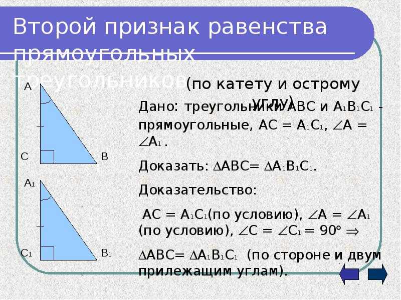 7 признак прямоугольного треугольника. Второй признак равенства. Равенство прямоугольных треугольников. Признаки равенства прямоугольных треугольников. 2 Признак прямоугольного треугольника.