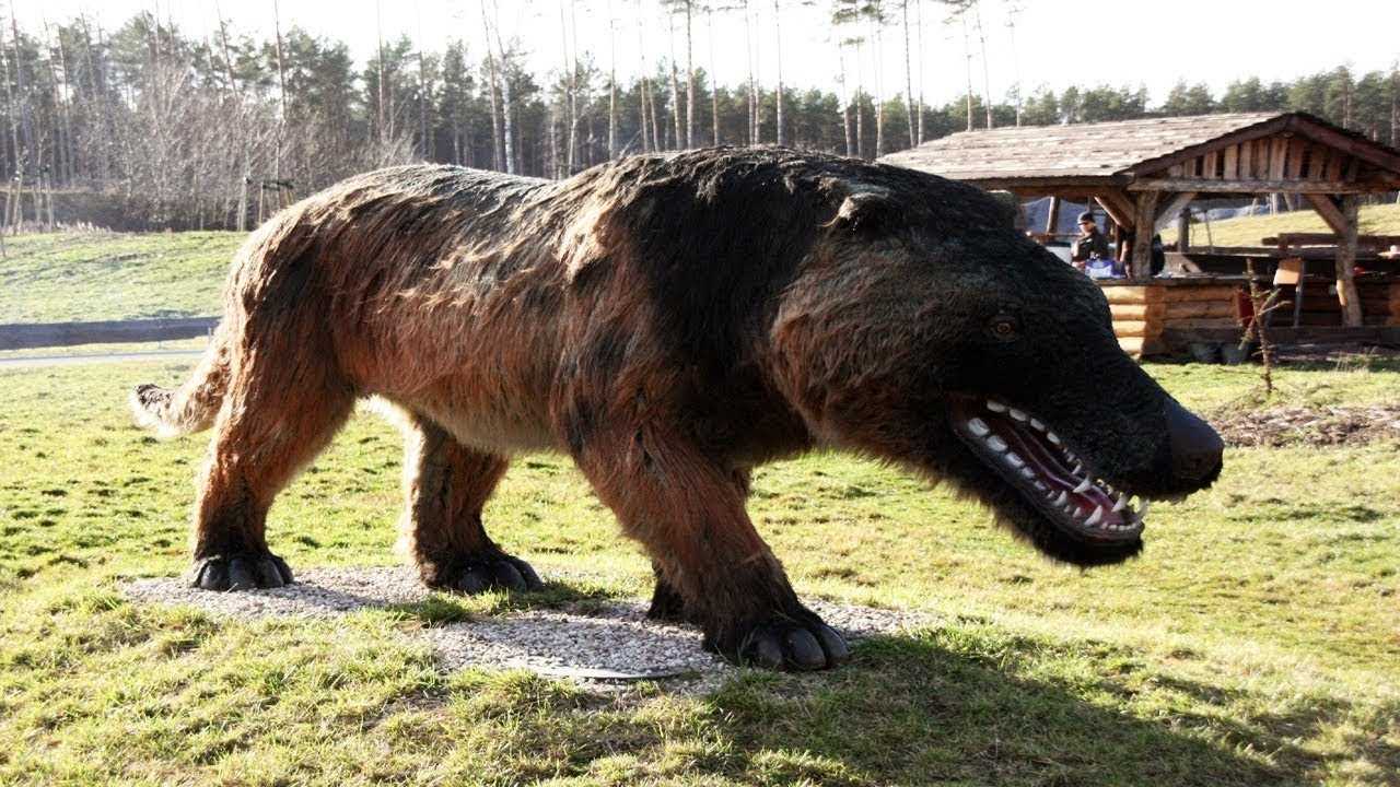Какое самое высокое животное на земле и в мире: фото и описание рекордсменов, где они обитают и как называются, их образ жизни и поведенческие особенности