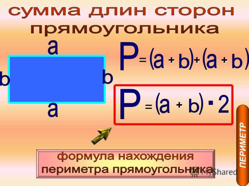 Периметр и площадь прямоугольника