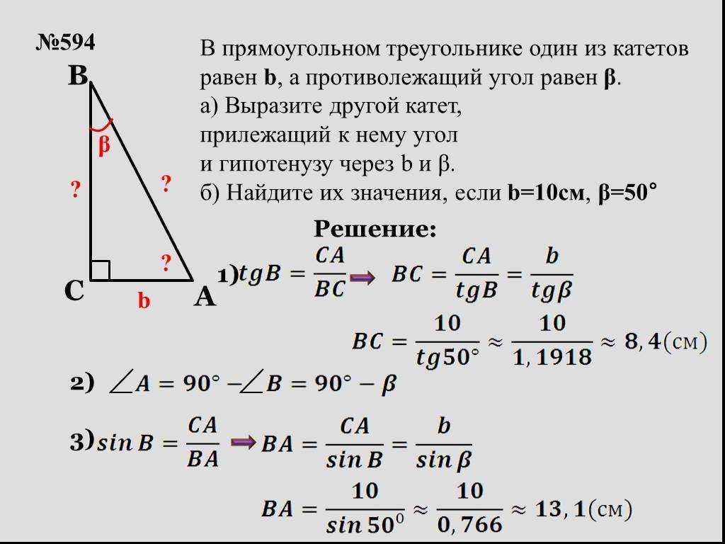 Методика изучения свойств прямоугольного треугольника в курсе геометрии 7-8 классов. дипломная (вкр). педагогика. 2011-06-24