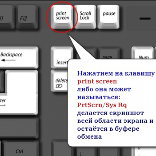 Как сделать скриншот - пошаговая инструкция