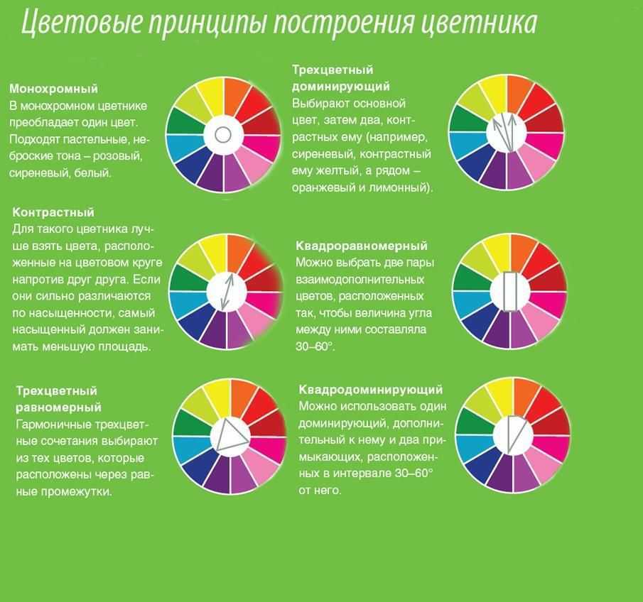 Цветовой круг: теория и основы для сочетания цветов для дизайнеров