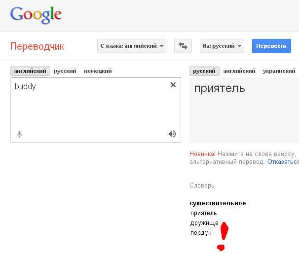 Как перевести текст с фото, картинки, камеры, топ-способы