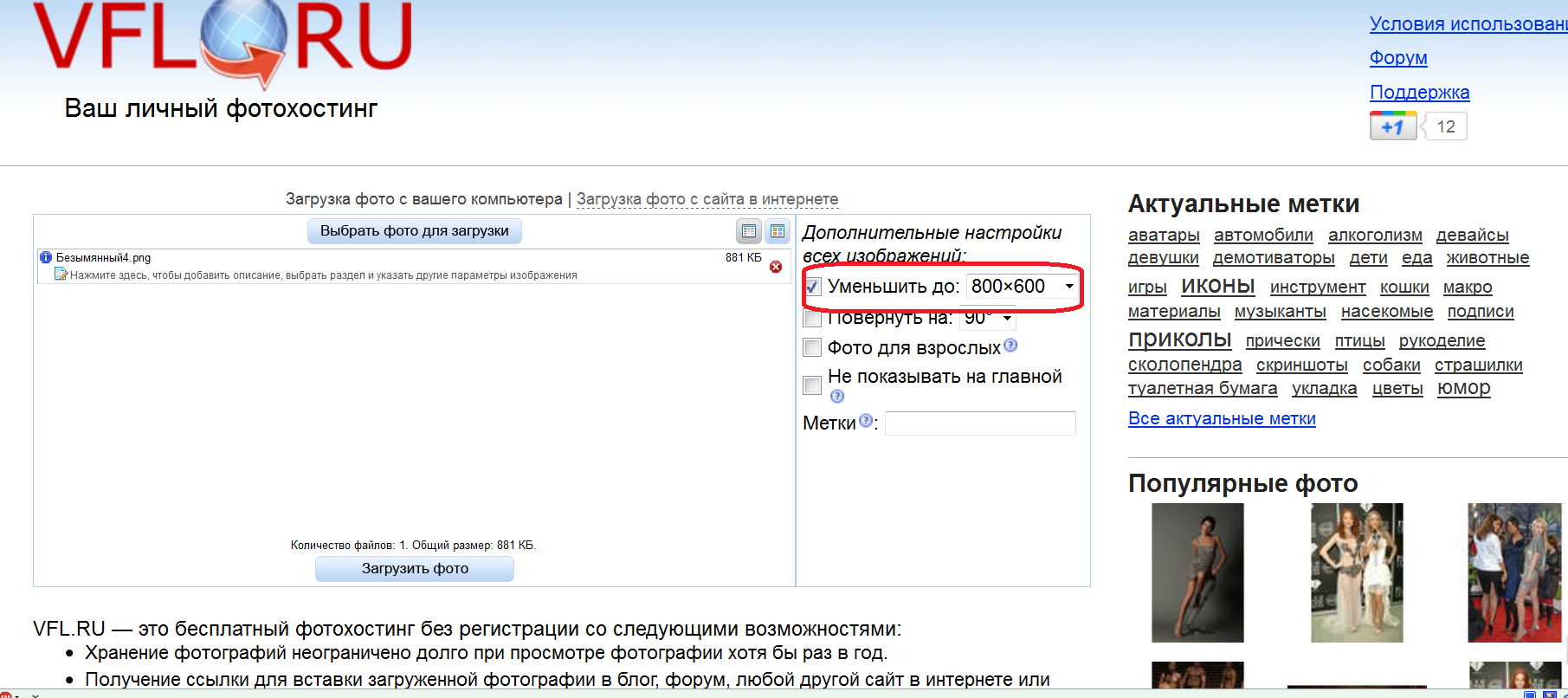 Для чего фотографу бесплатные фотостоки?