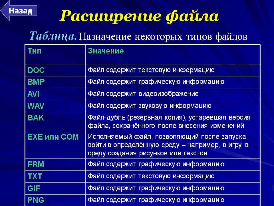 Руководство пользователя: операционная система и устройства - типы файлов