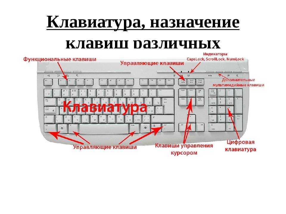 Как сделать линию в ворде — 3 способа