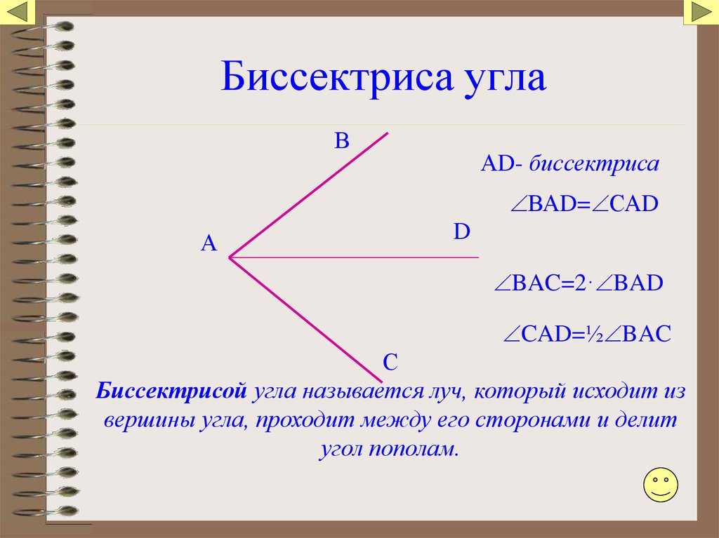 Какая точка называется углом