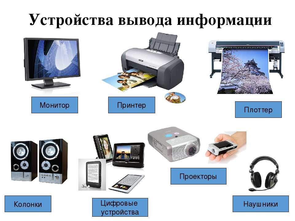 Устройства ввода и вывода информации. накопители информации