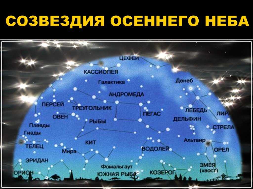 В публикации представлена таблица с полным списком созвездий, включающий их русские и латинские названия, сокращения аббревиатуры, площадь и количество ярких звезд